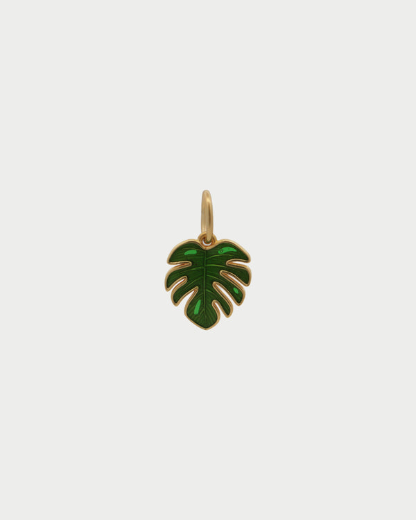 Charm Foglia tropicale