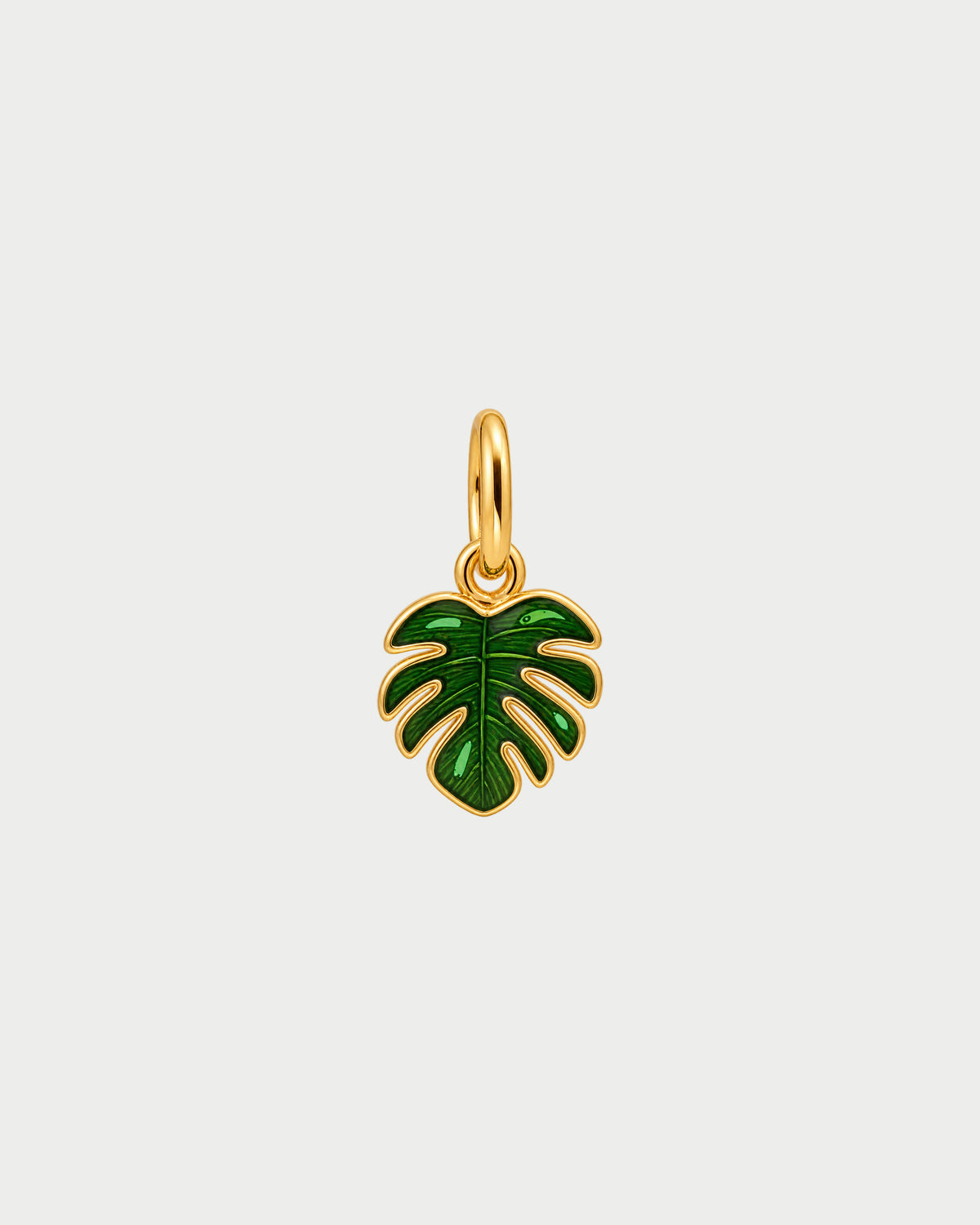 Charm Foglia tropicale