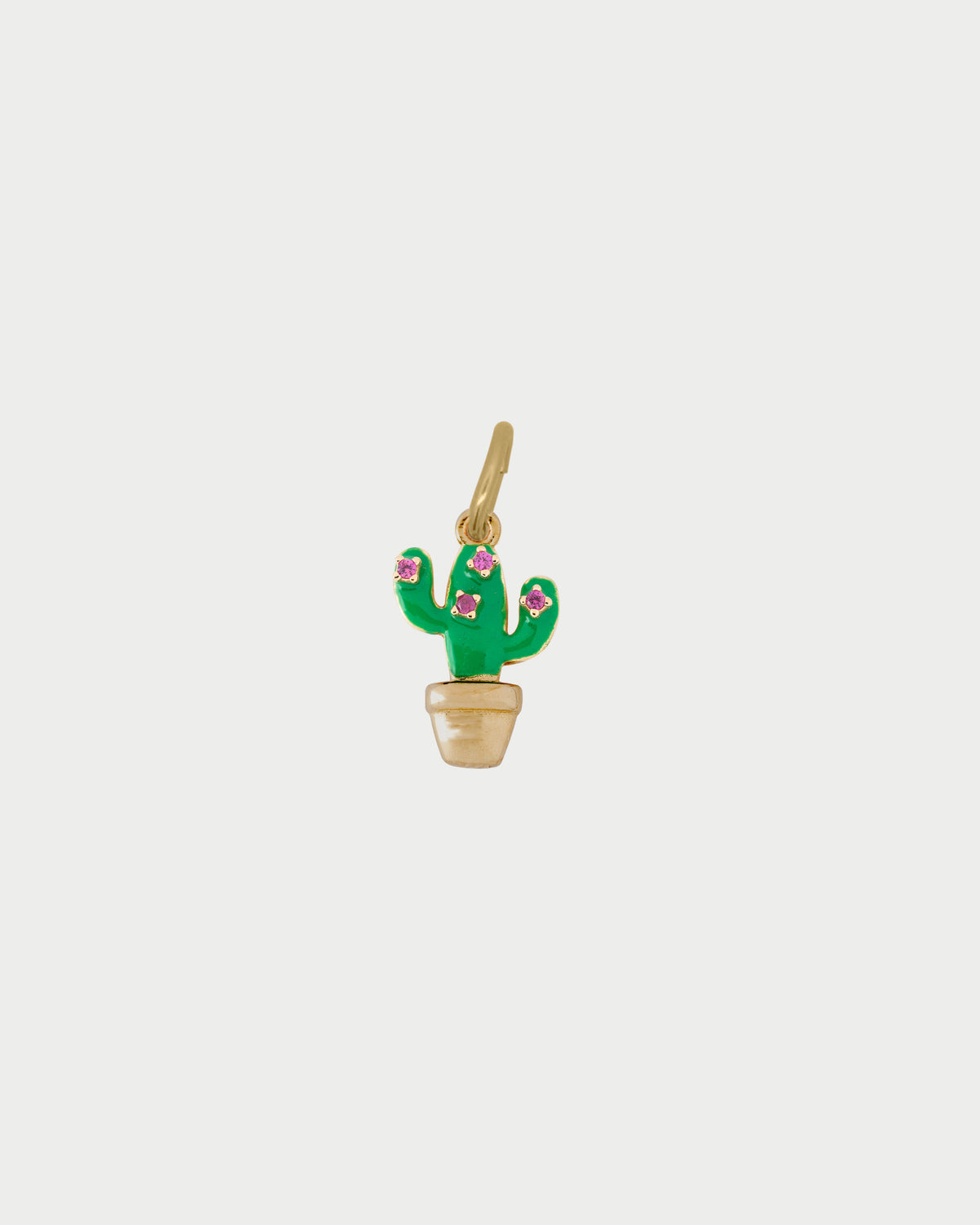 Amuleto de cactus