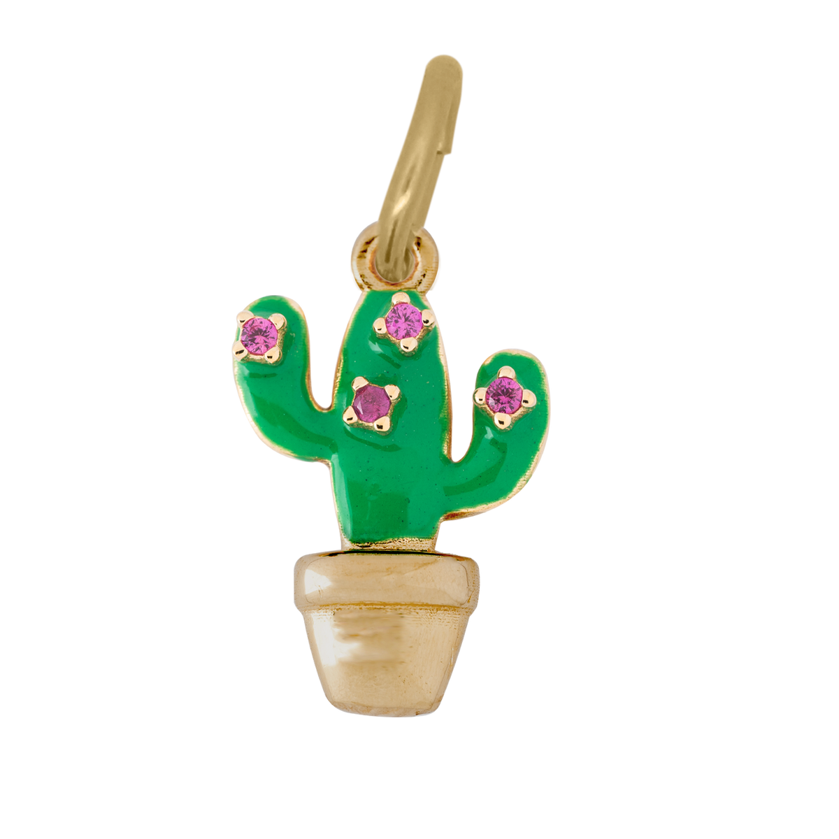 Charm Cactus