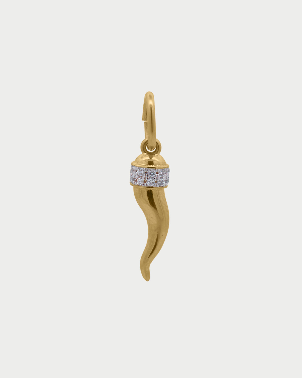 XL Lucky Horn Charm