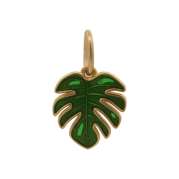 Charm Foglia tropicale