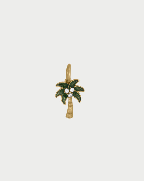 Charm Palm Colour