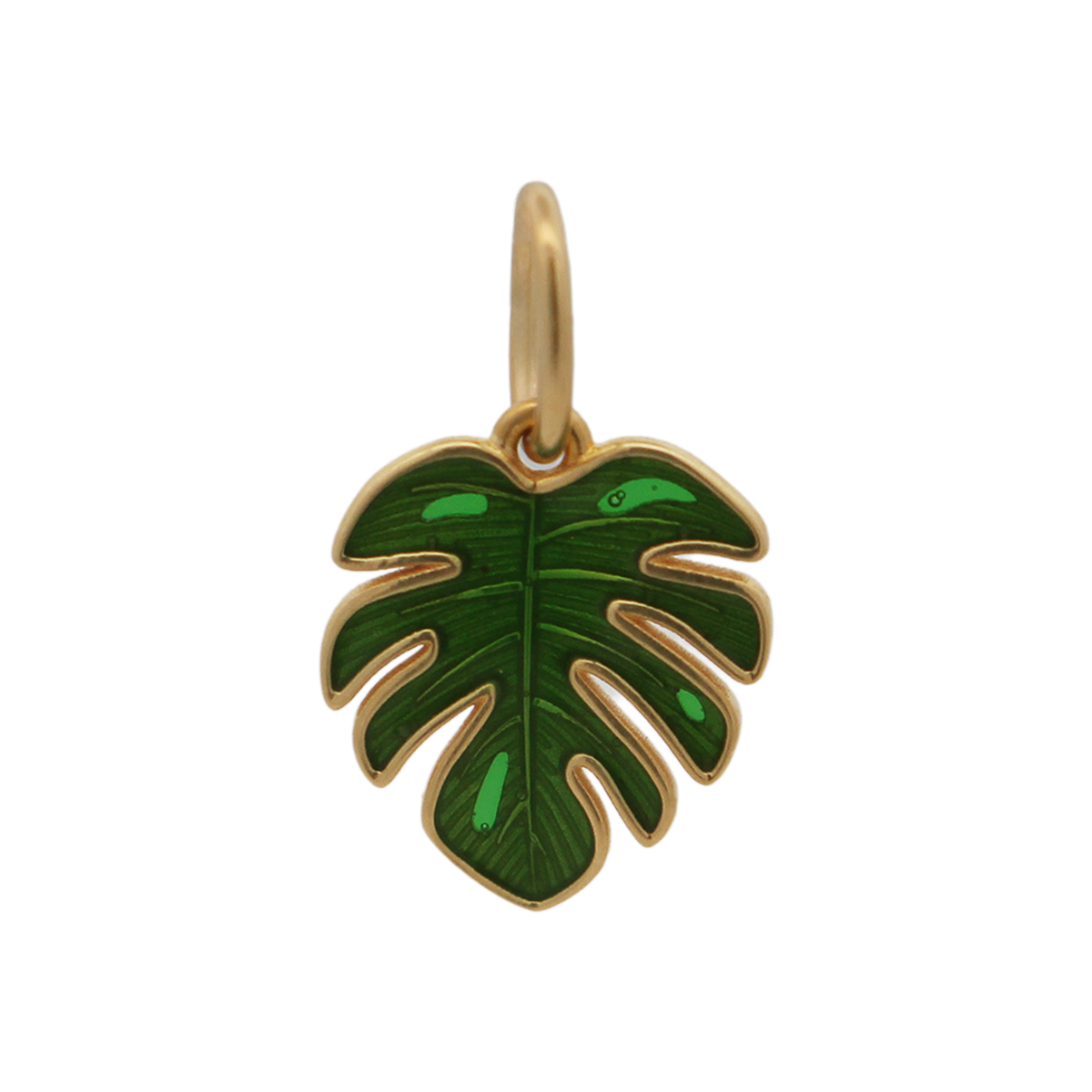 Charm Foglia tropicale