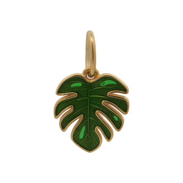 Charm Foglia tropicale