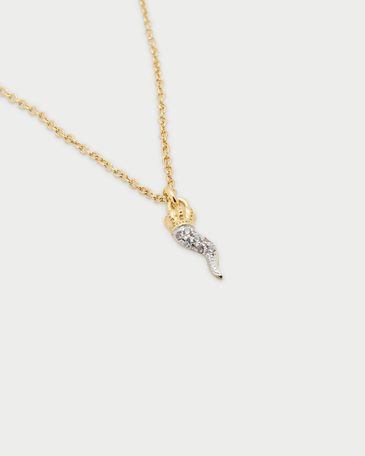 Choker chain and horn zircons