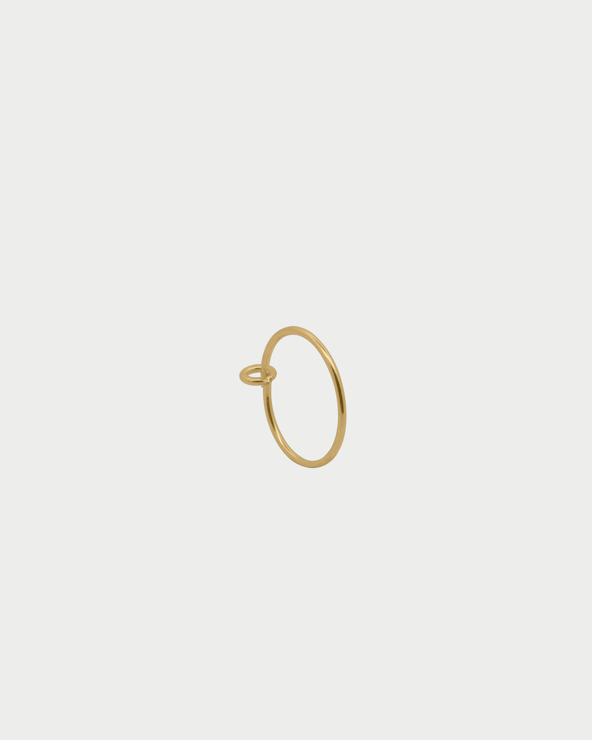 Small Hoop Earring