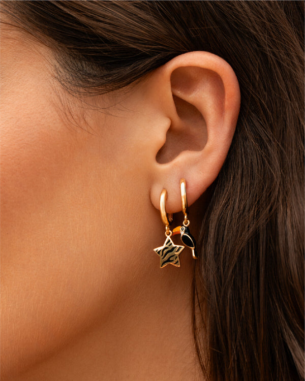 Charm Stella Wild