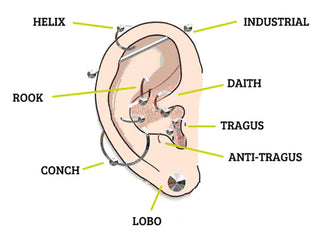 grafico con tutti i buchi delle orecchie che puoi farti anche in vista del capodanno