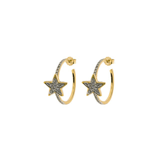 Zircon Circle Earrings - Star